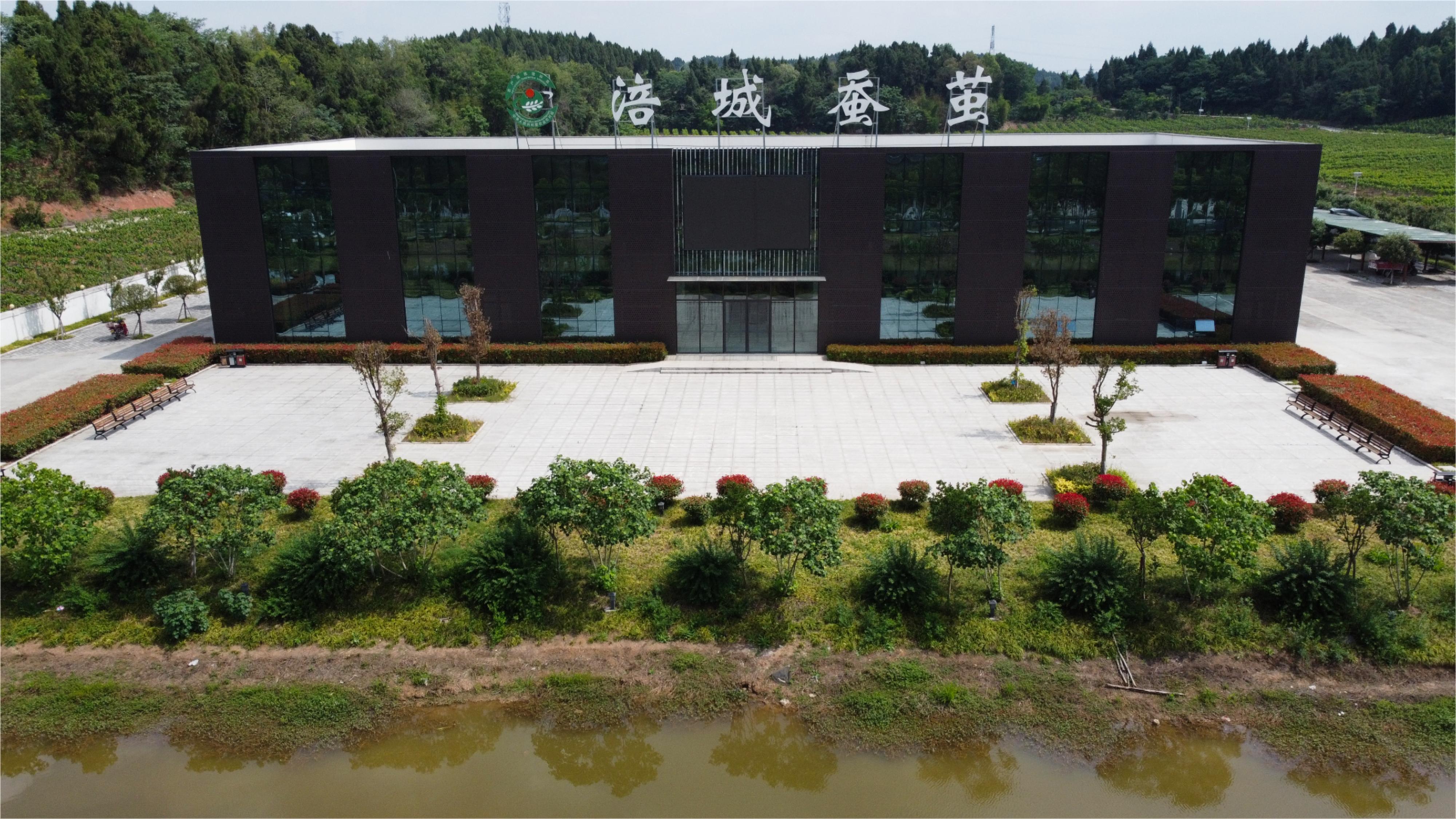 �������Q�O����������